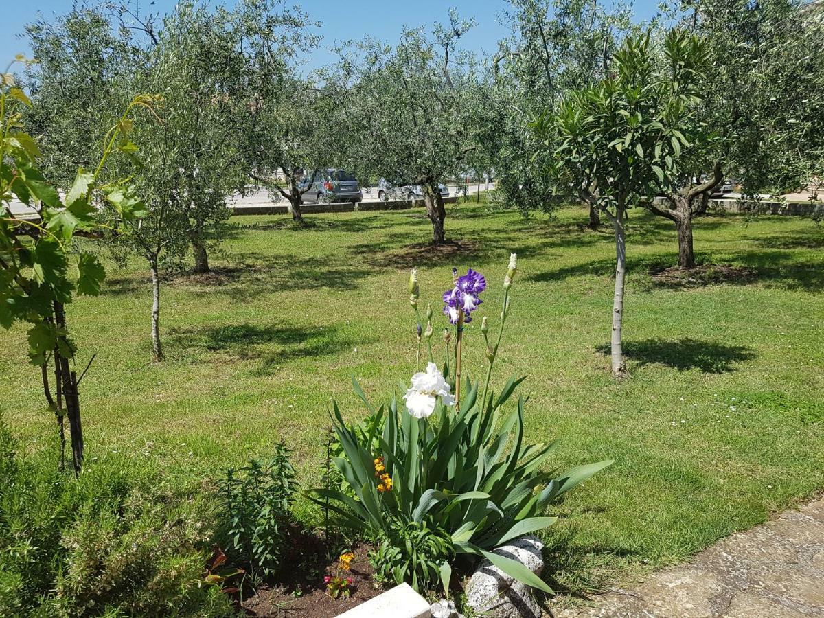 Rooms Siesta Пореч Екстер'єр фото